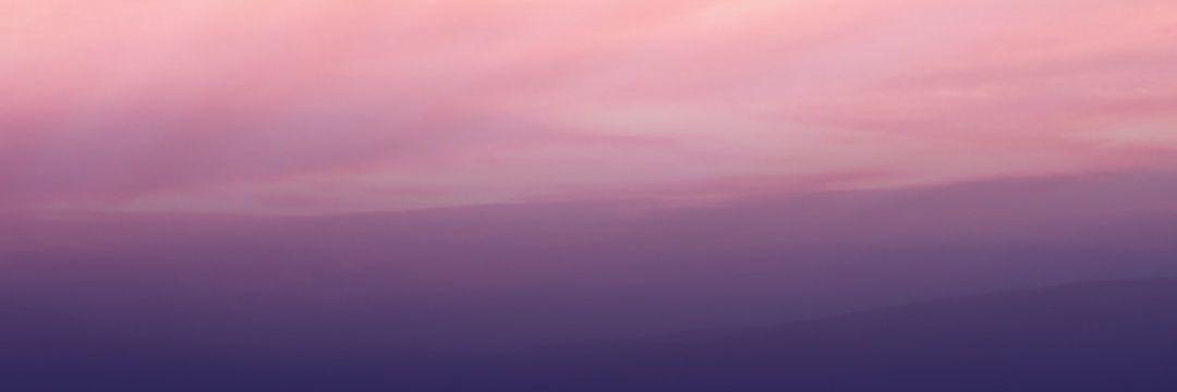 pizzapatty's profile banner image