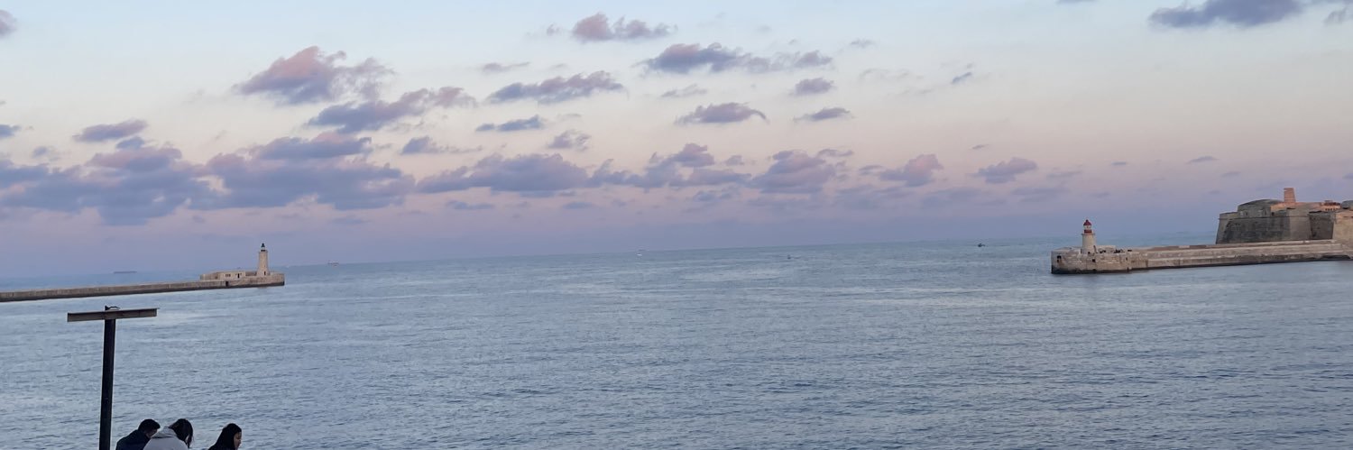 _Saracroche's profile banner image