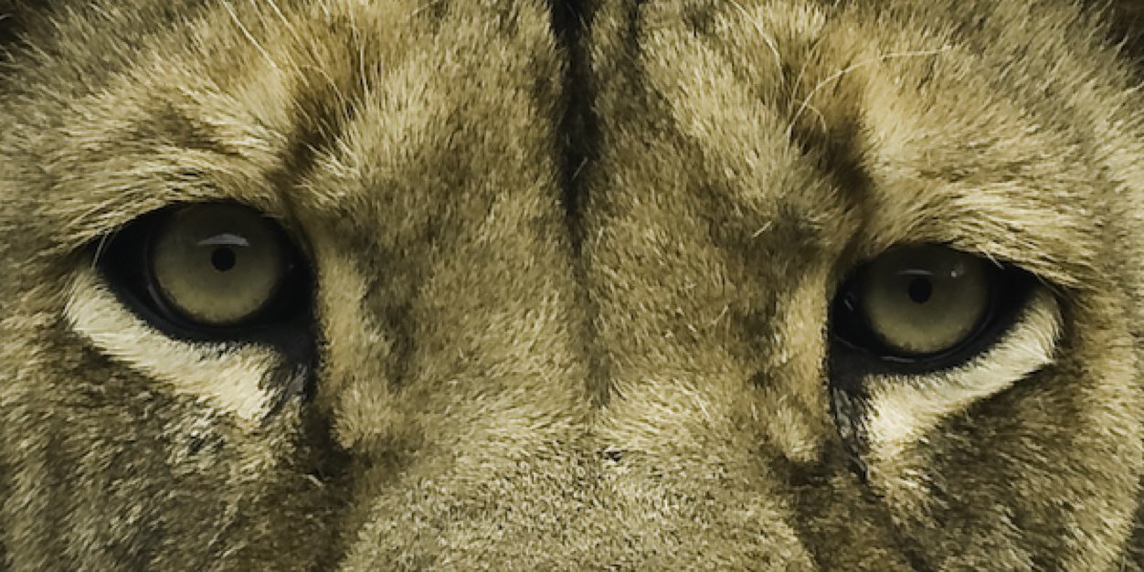 irishwill1028's profile banner image