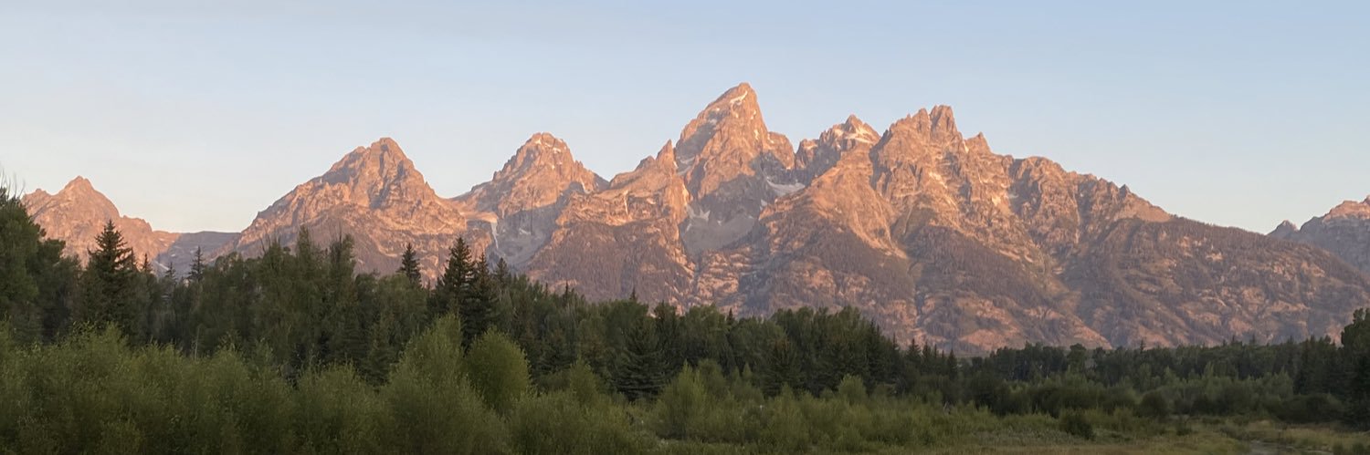 TaylorShiring's profile banner image