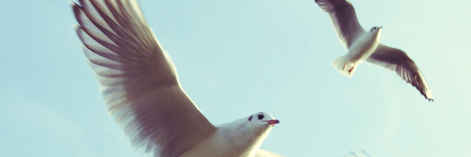 ghelay25's profile banner image