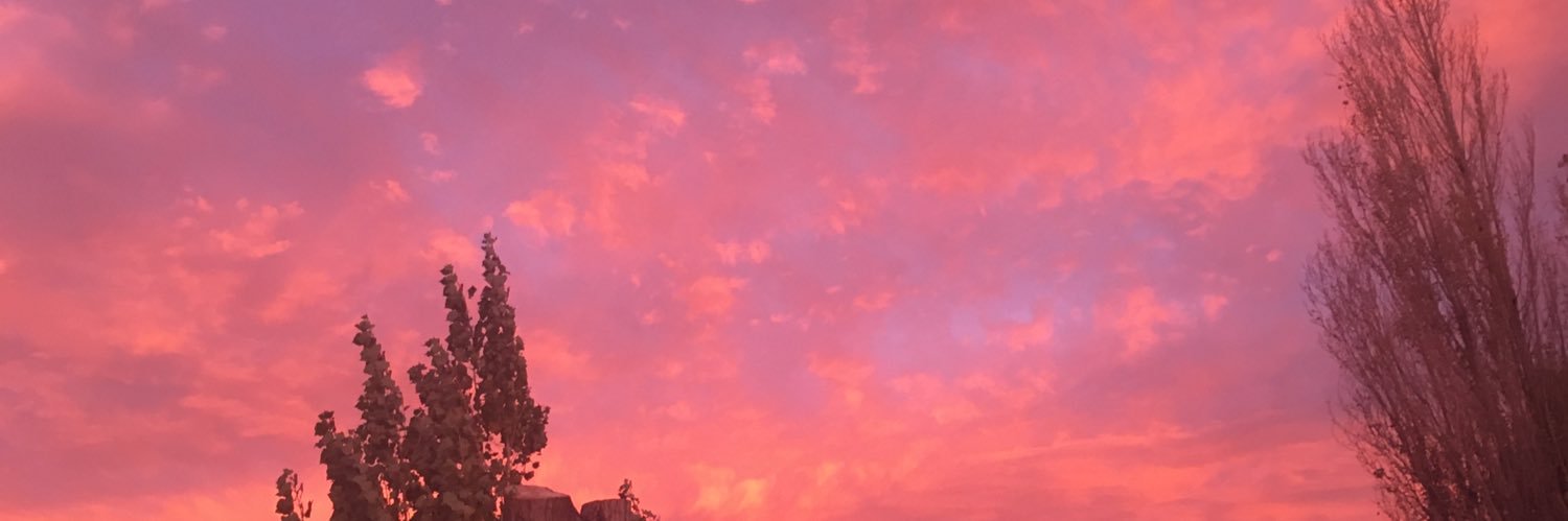 Agostinaven's profile banner image