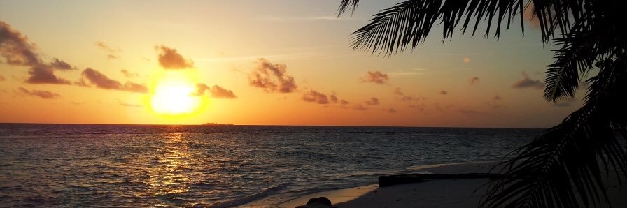 radhamestavarez's profile banner image