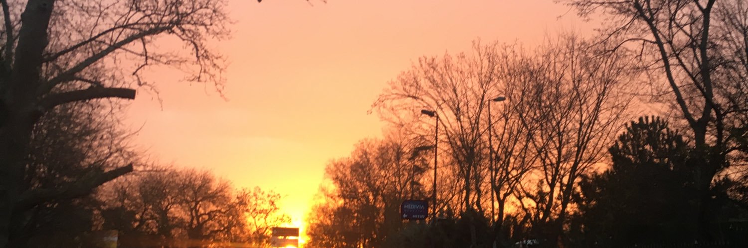 irrosima's profile banner image