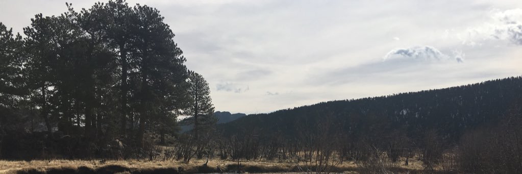 allymichel's profile banner image