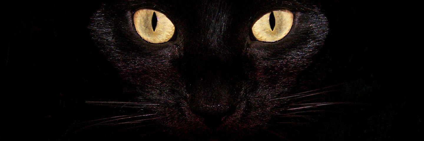 FacundoBozzalla's profile banner image