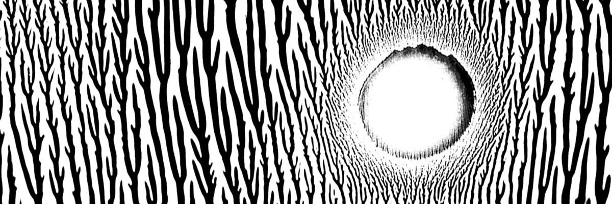 xJERKKx's profile banner image