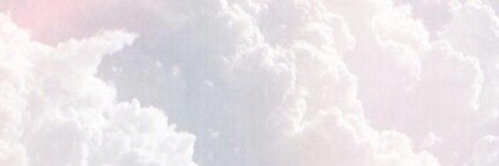 theflynnetta's profile banner image