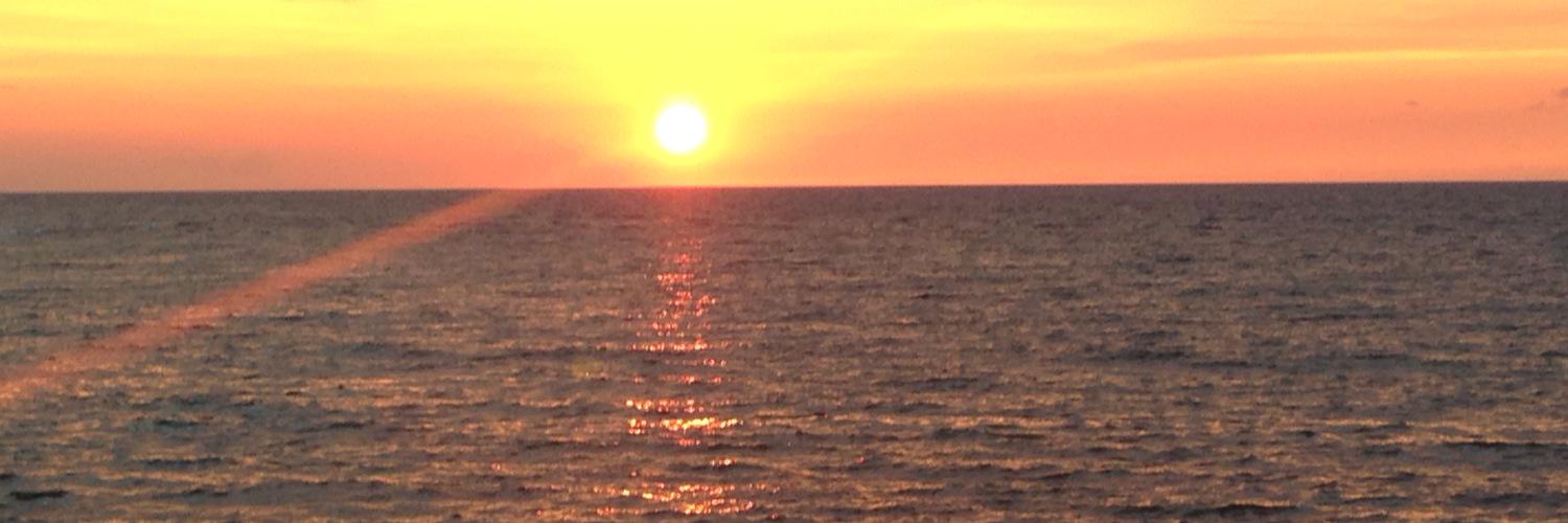 NDdaleruhl's profile banner image