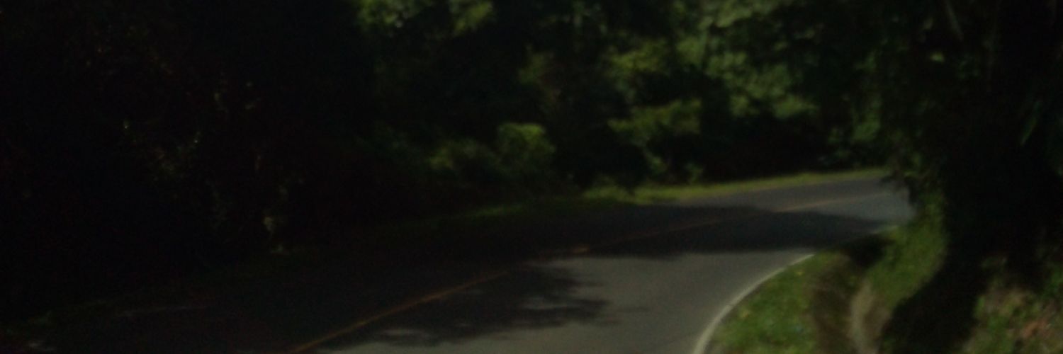 EsmeMndza's profile banner image