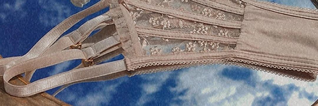 Bralialingerie's profile banner image