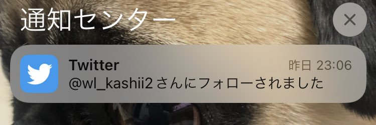 kitayama_from_f's profile banner image