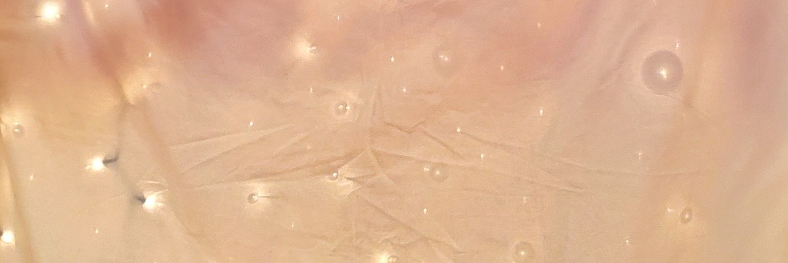 arlevsanico's profile banner image