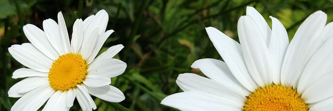 marianarr_'s profile banner image