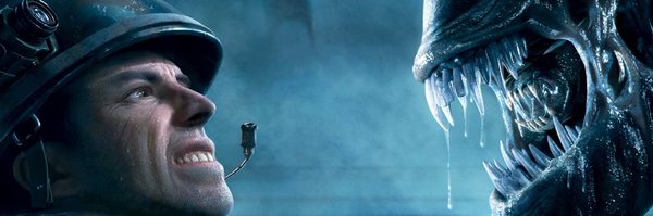 MrBear1488 Profile Banner