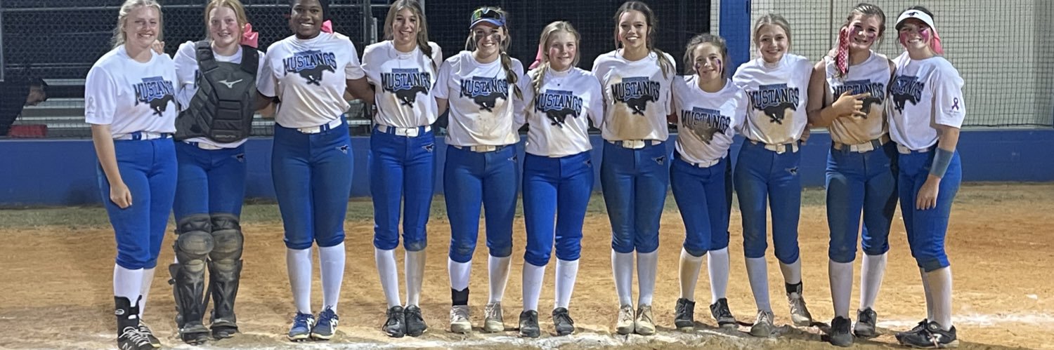 Bham Mustangs 08 banner