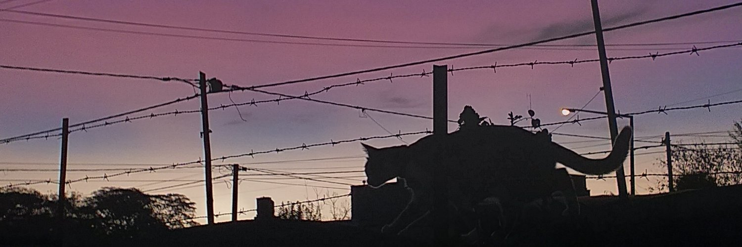 SolSupann's profile banner image