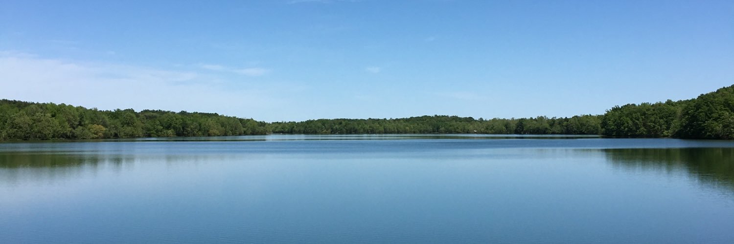 Casiblee's profile banner image