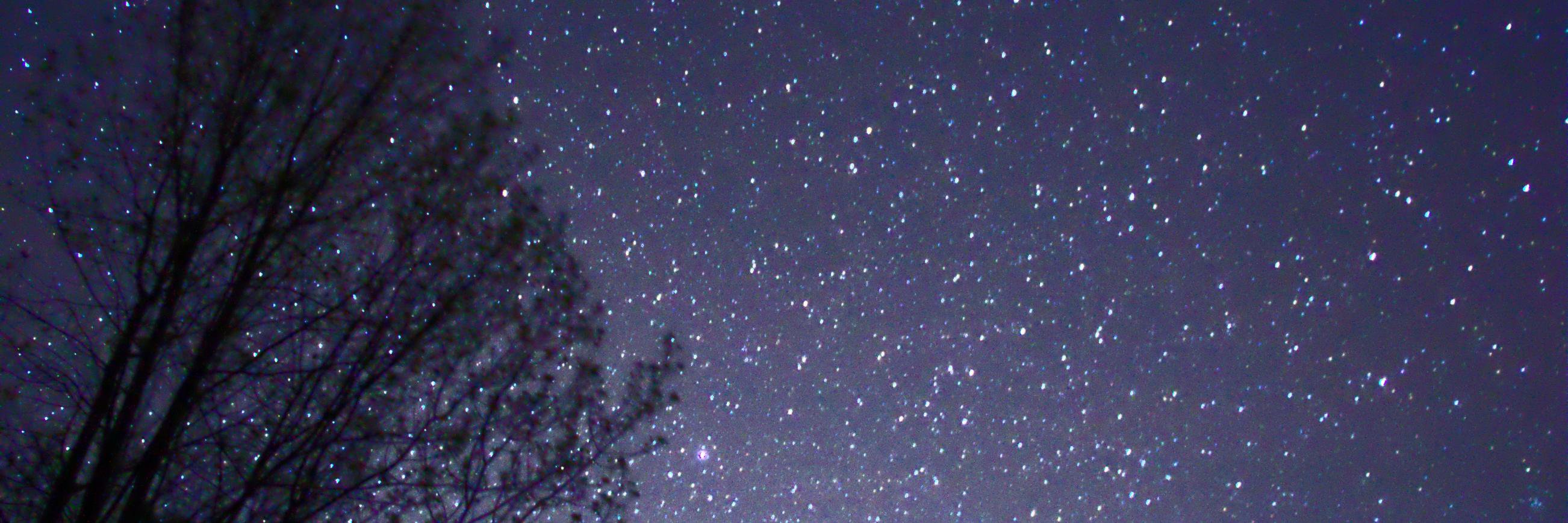 RosalynCarthy's profile banner image