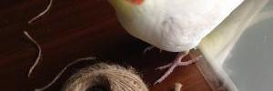 711orner's profile banner image