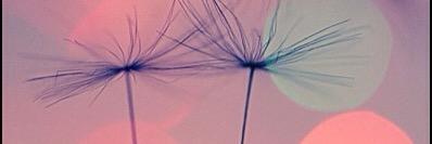 MartaGarre's profile banner image