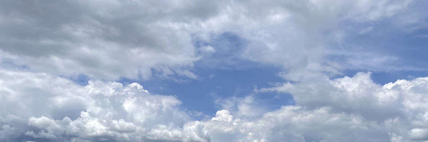 wilsonf's profile banner image