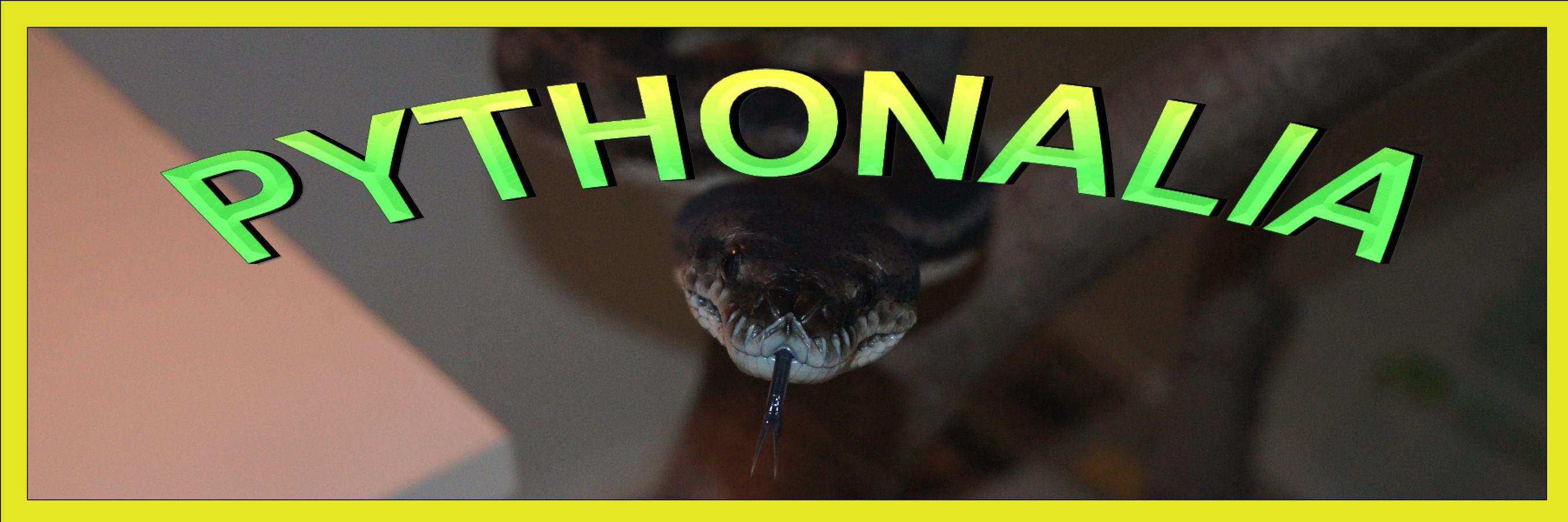 Pythonalia's profile banner image