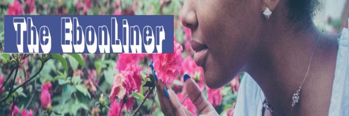 EbonLiner_Blog's profile banner image