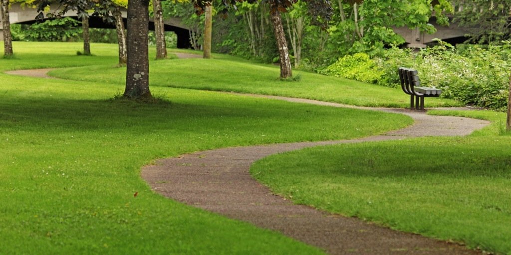 Dr. Charlene M. Goss banner