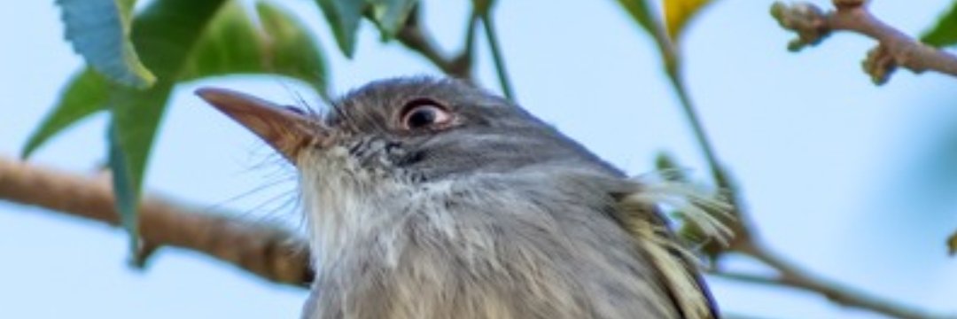 CEFE469's profile banner image