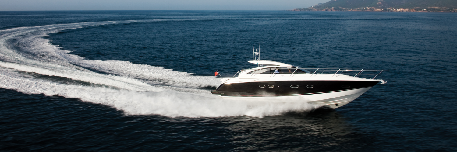 Princess Owners Club banner