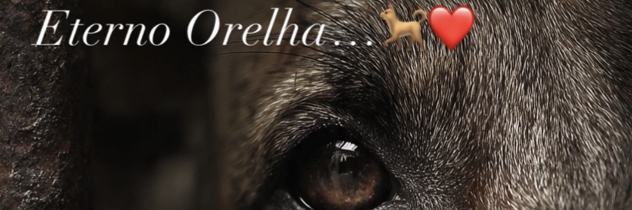 Dede_Didio's profile banner image