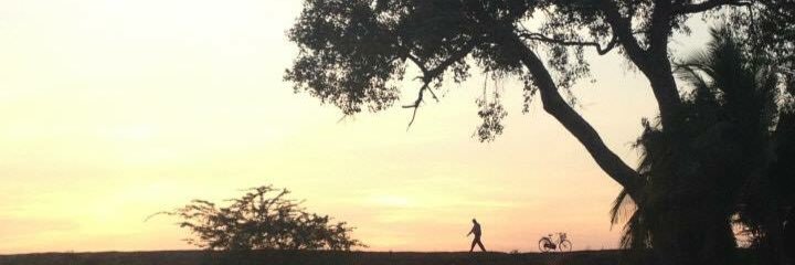 AshleyScoby's profile banner image