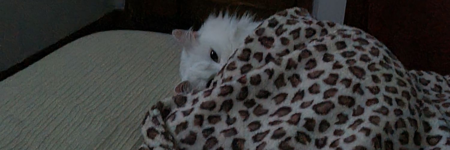21matheuses's profile banner image