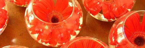 Lili_Rodriguez5's profile banner image