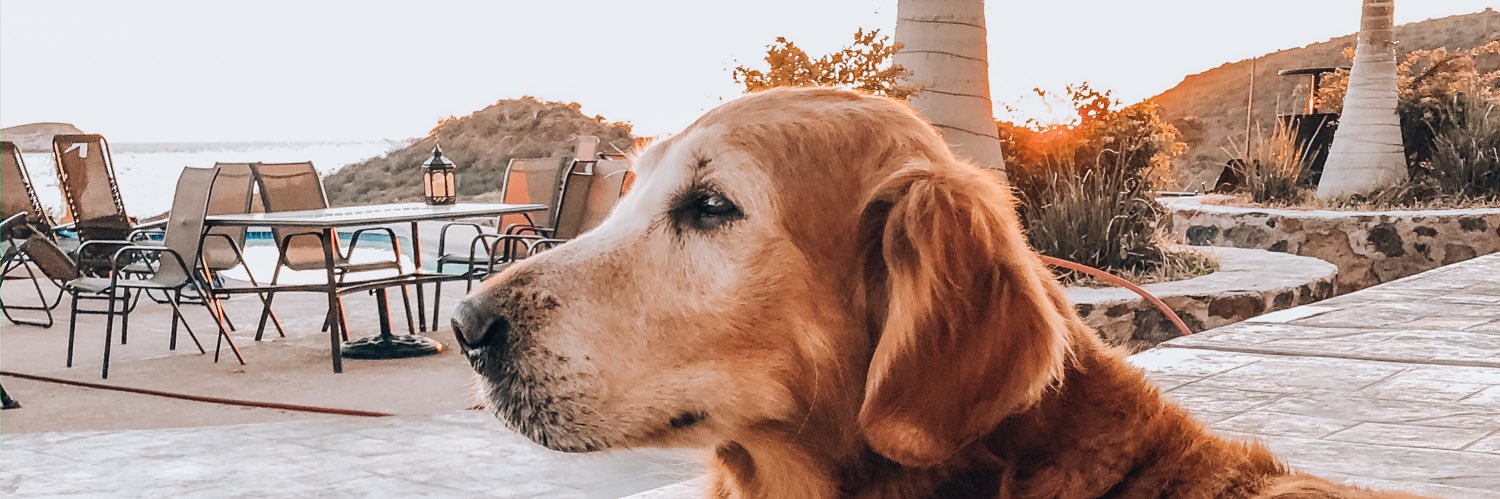 AlanErbey's profile banner image
