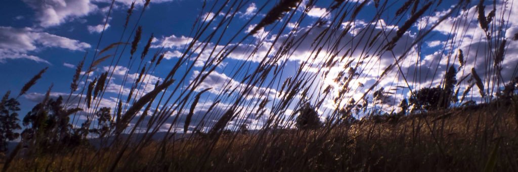soloalejo28's profile banner image