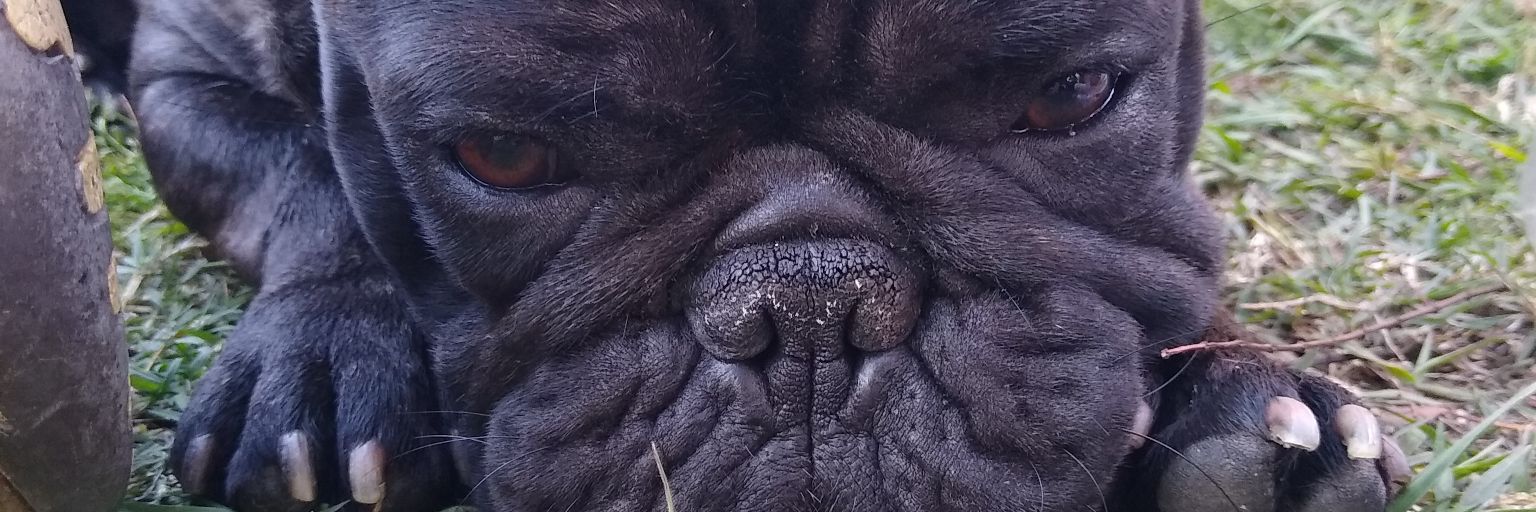 errrece's profile banner image