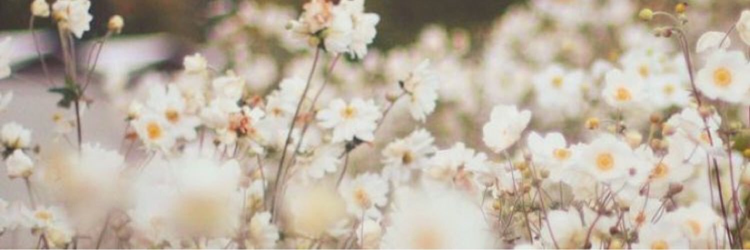 solveigsp96's profile banner image