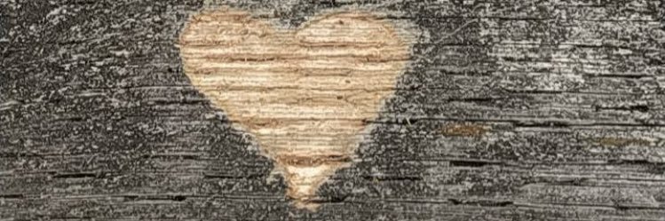 RyenMuscat's profile banner image