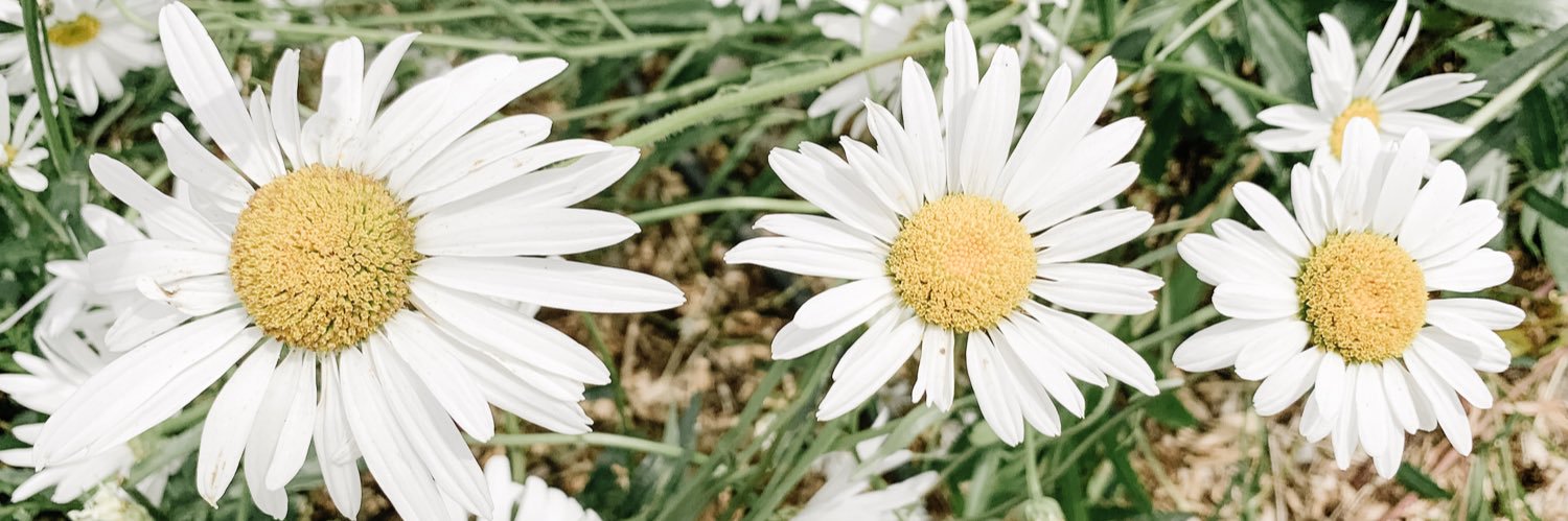 dianamelendez2's profile banner image