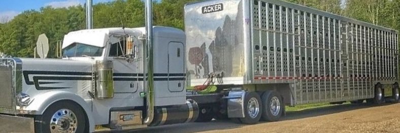 Mercadoo_76's profile banner image