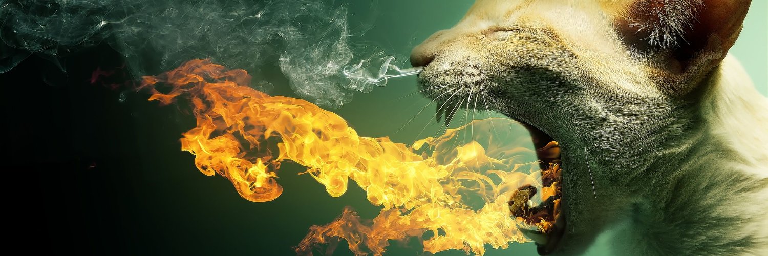 DennGesserit's profile banner image