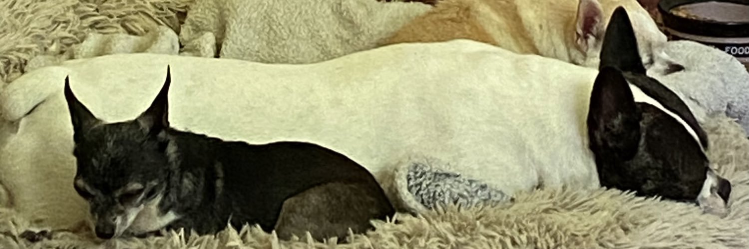 Showtime at the El Sleazo banner