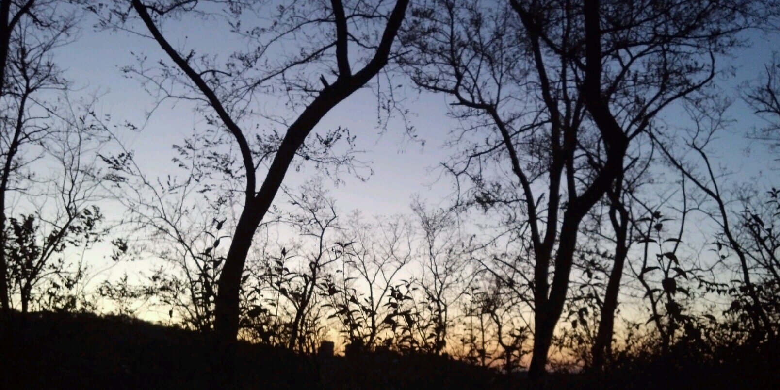twitgoto's profile banner image