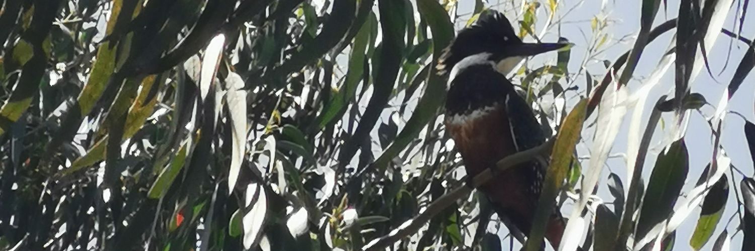 vale_faure's profile banner image
