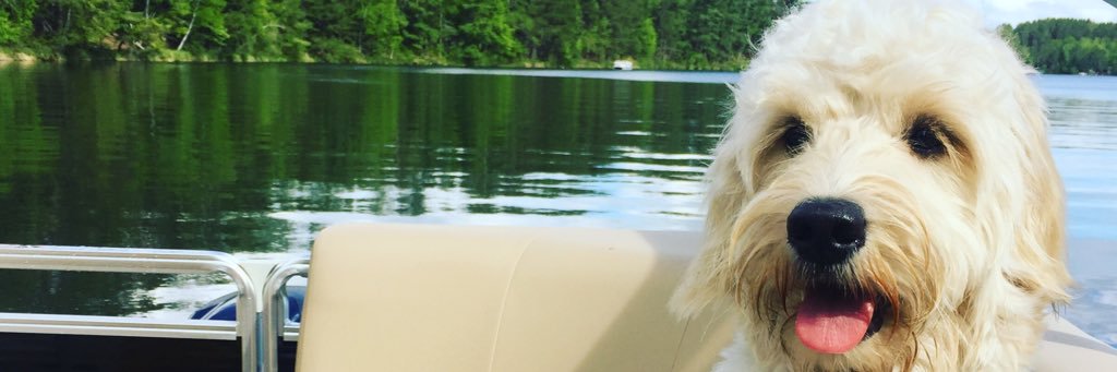 Kendra_Susan's profile banner image