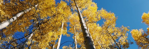 C__McBeath Profile Banner