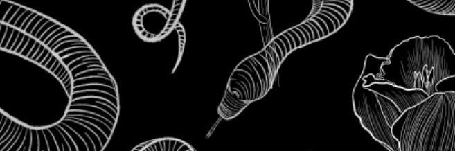 solmmmolli's profile banner image
