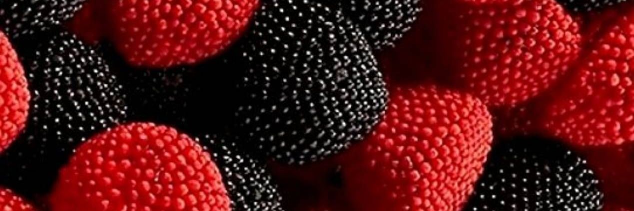 sofiamm10's profile banner image